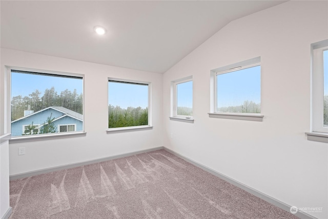 empty room featuring carpet flooring, a wealth of natural light, and lofted ceiling