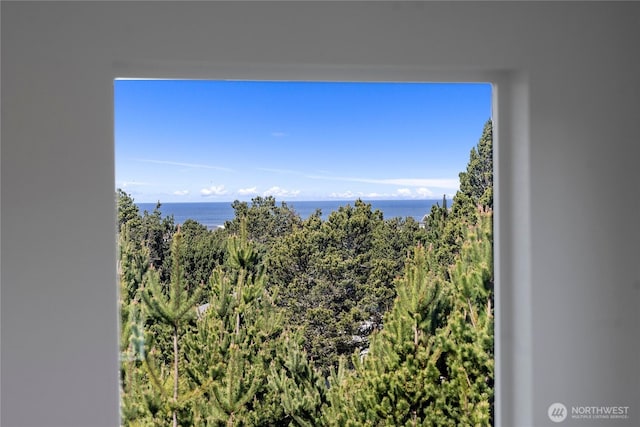 29375 L Ln, Ocean Park, WA 98640 - photo 32