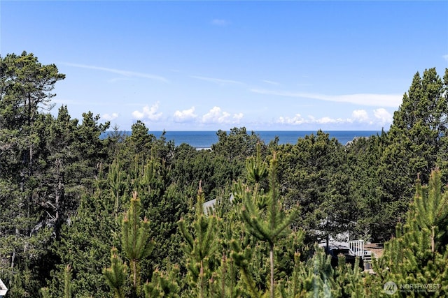 29375 L Ln, Ocean Park, WA 98640 - photo 33