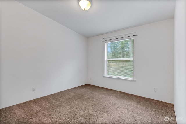 empty room featuring carpet floors