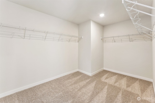 walk in closet featuring carpet