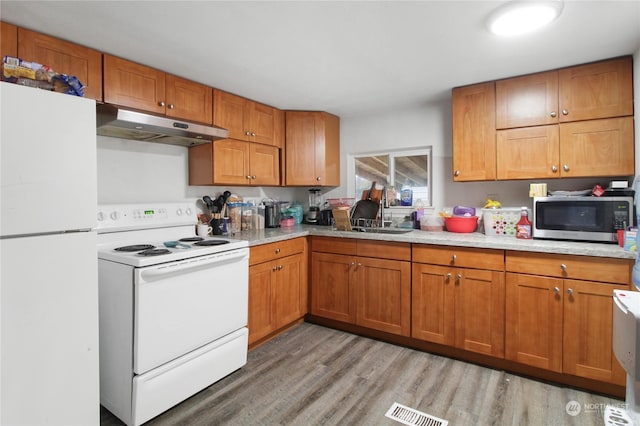 kitchen featuring light hardwood / wood-style flooring, white appliances, and sink