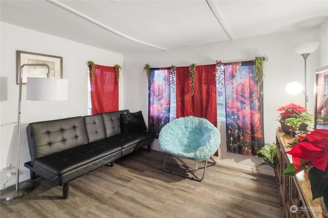 sitting room with hardwood / wood-style floors