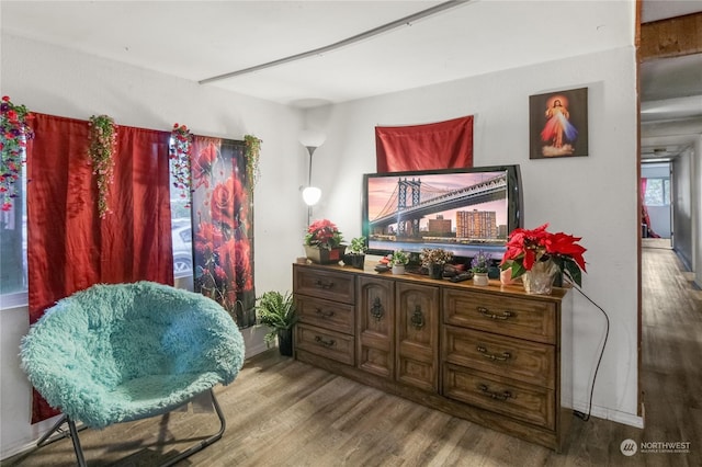 sitting room featuring hardwood / wood-style flooring