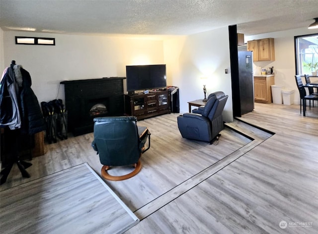 living room featuring a textured ceiling and light wood-type flooring