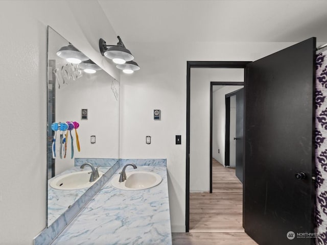 bathroom with hardwood / wood-style floors and vanity