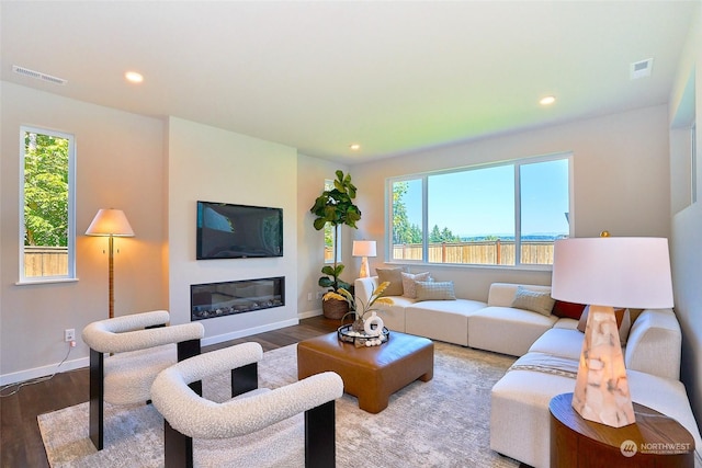 living room with hardwood / wood-style floors and a healthy amount of sunlight