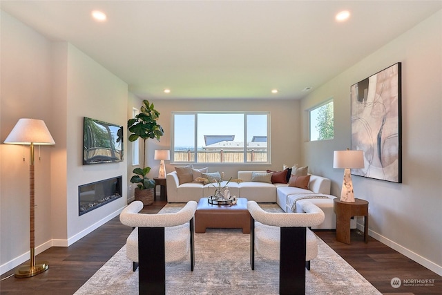 living room featuring dark hardwood / wood-style floors