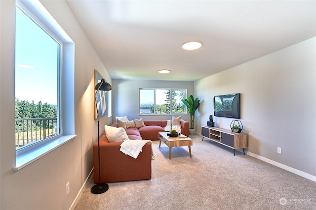 living room with carpet floors