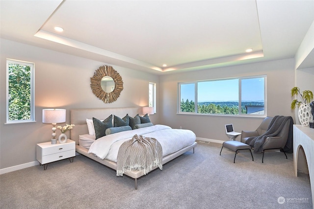 bedroom with a raised ceiling and carpet floors