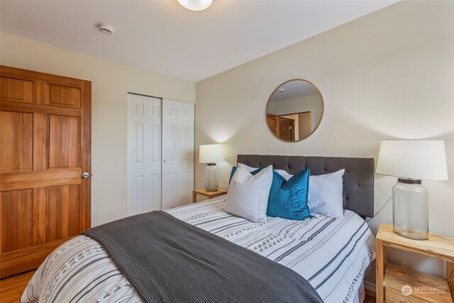 bedroom with a closet and wood-type flooring