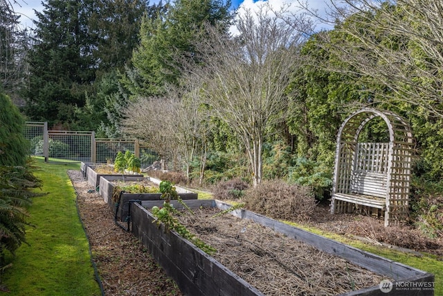 view of yard with a vegetable garden