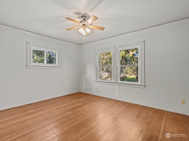 spare room featuring light hardwood / wood-style floors and ceiling fan