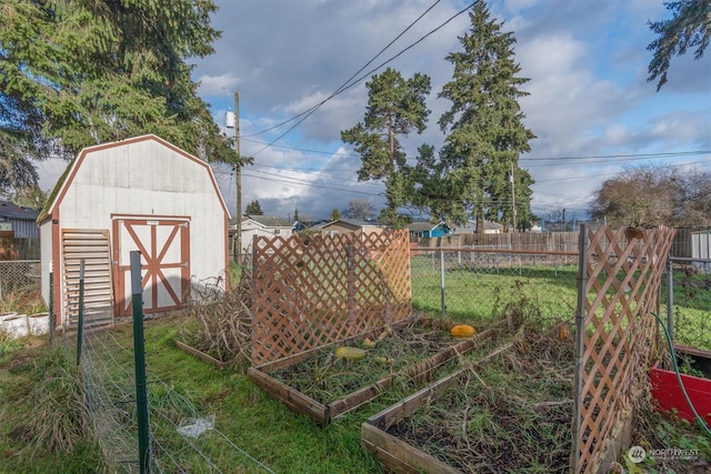 view of yard with a storage shed