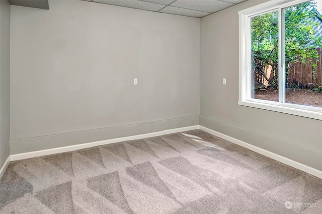 carpeted spare room with a drop ceiling