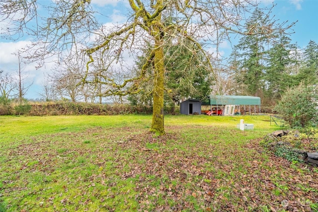 view of yard with a carport and a shed