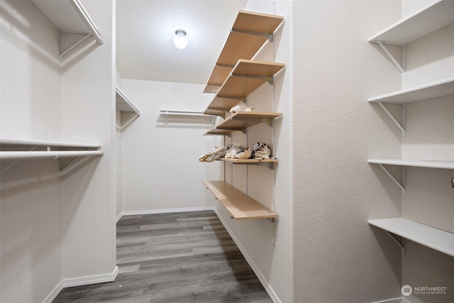 spacious closet with dark wood-type flooring