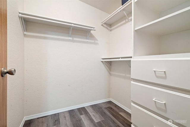 walk in closet featuring dark hardwood / wood-style floors