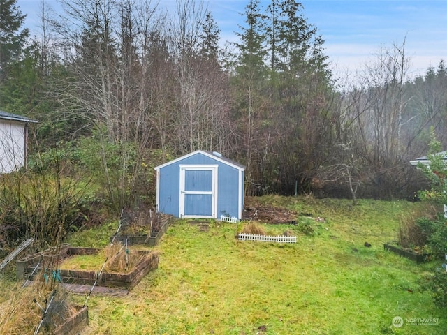 view of yard with a shed