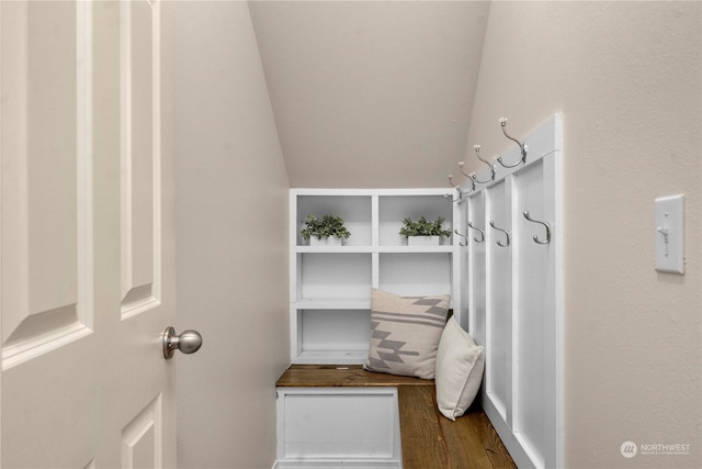 walk in closet featuring lofted ceiling and hardwood / wood-style flooring