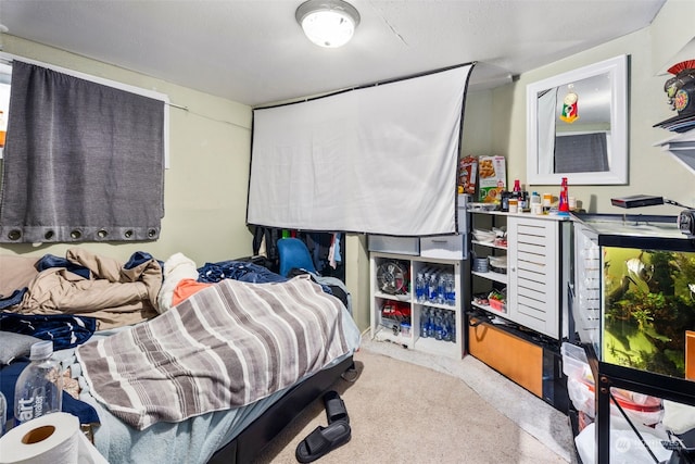 bedroom with light carpet