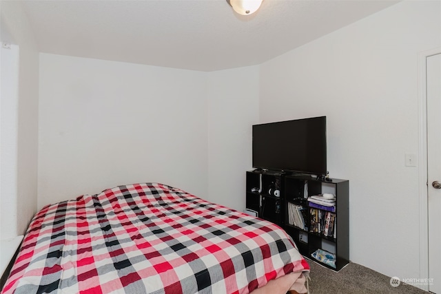 bedroom with carpet flooring