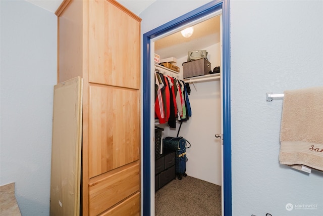 view of closet