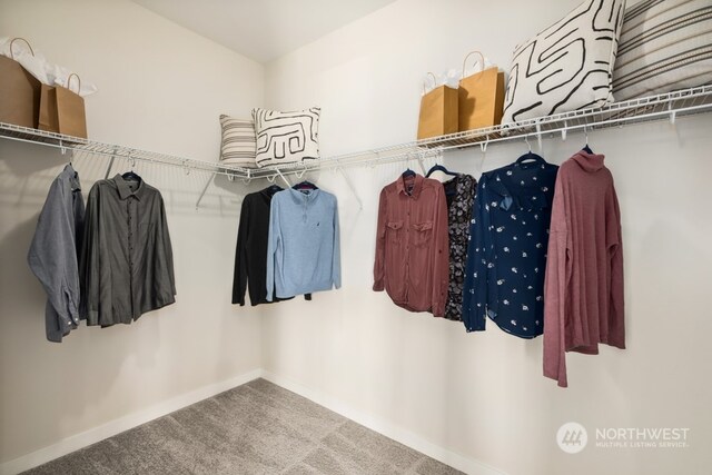 spacious closet featuring carpet flooring