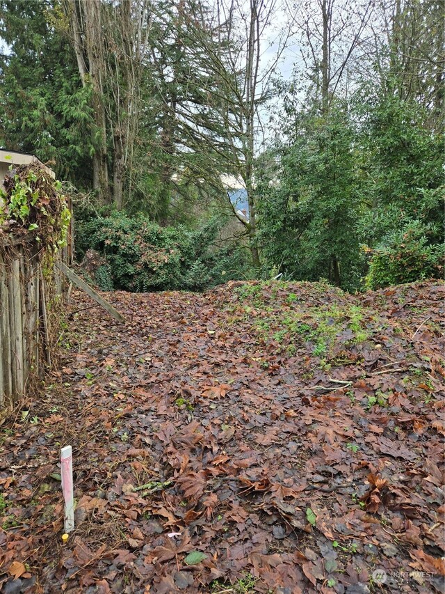 14014 41st Ave NE, Seattle, WA 98125 - photo 2
