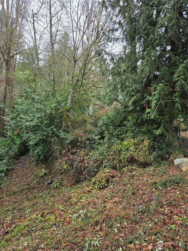 14014 41st Ave NE, Seattle, WA 98125 - photo 11