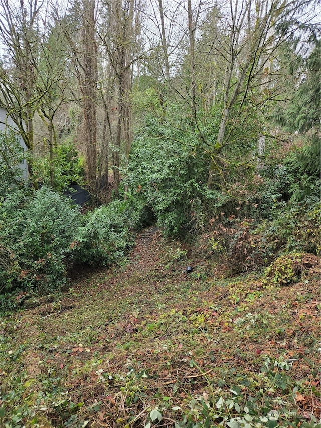 14014 41st Ave NE, Seattle, WA 98125 - photo 12