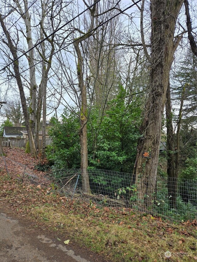 14014 41st Ave NE, Seattle, WA 98125 - photo 13