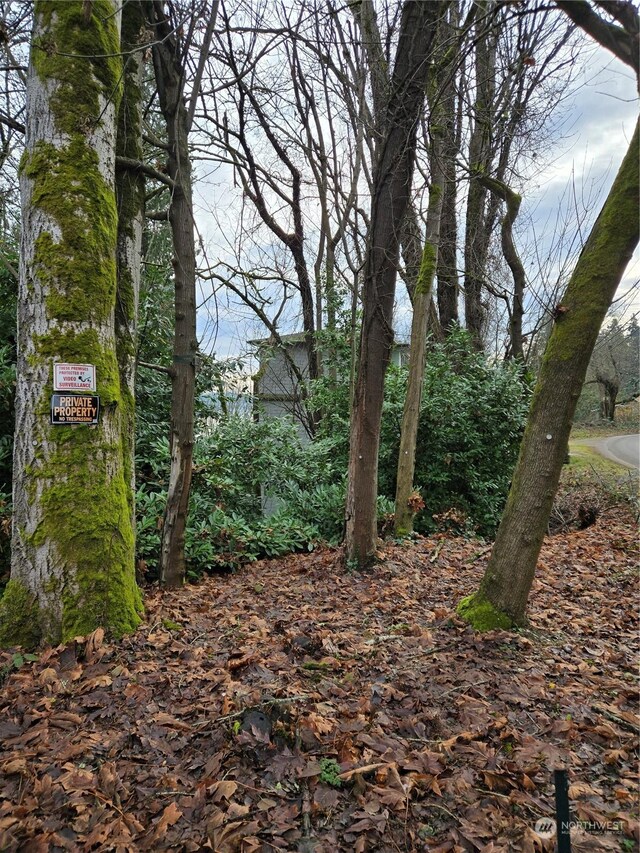 14014 41st Ave NE, Seattle, WA 98125 - photo 14