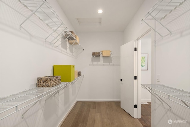 walk in closet with hardwood / wood-style flooring