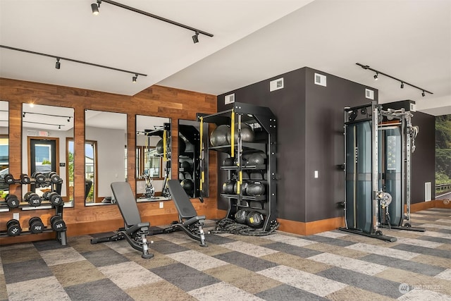 workout area with carpet, wood walls, and rail lighting