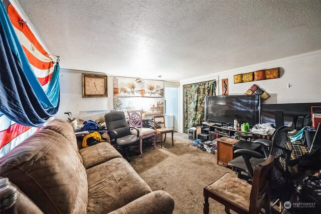 living room with carpet flooring and a textured ceiling