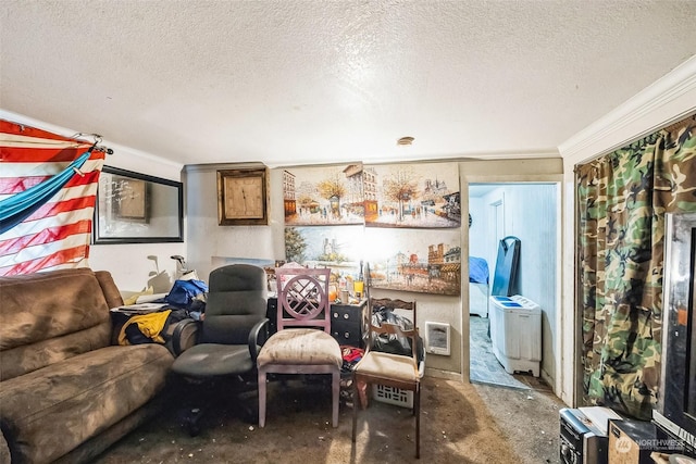 living area featuring a textured ceiling and crown molding