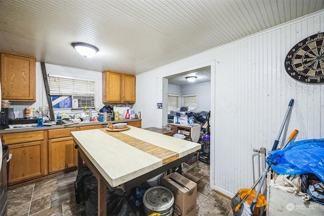 kitchen with wooden walls and black / electric stove