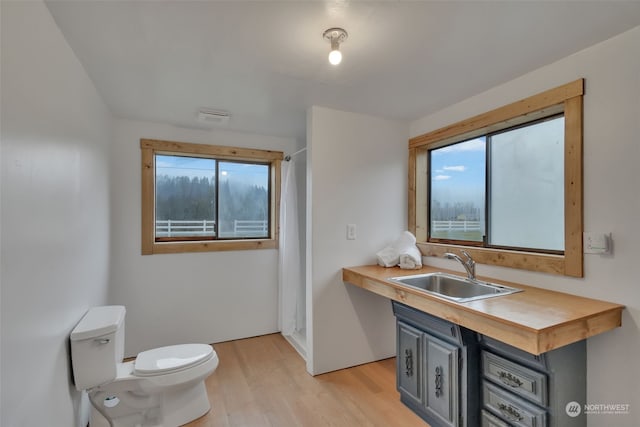 bathroom featuring toilet, vanity, and hardwood / wood-style flooring