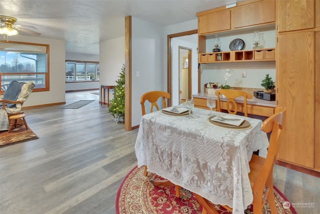 dining room featuring ceiling fan, light hardwood / wood-style floors, and a textured ceiling