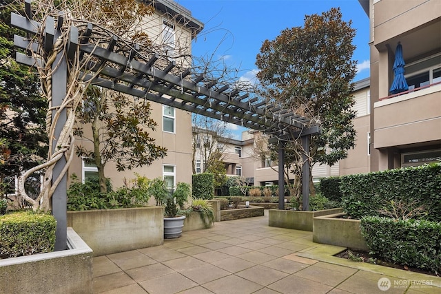 view of property's community featuring a patio area and a pergola