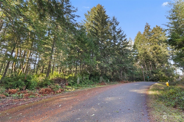 Listing photo 2 for 10510 Olympic Pl, Anderson Island WA 98303