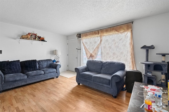 living room featuring wood-type flooring and a textured ceiling