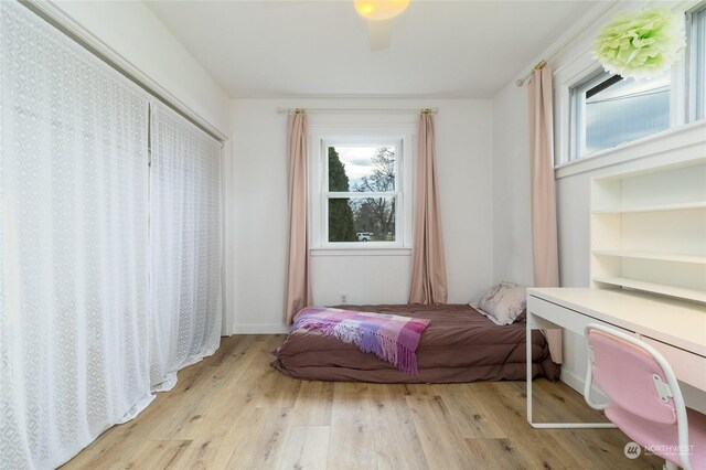 bedroom featuring ceiling fan, light hardwood / wood-style flooring, and multiple windows