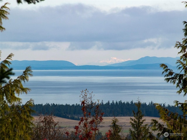 9999NKA Chelsamish Dr, Sequim WA, 98382 land for sale