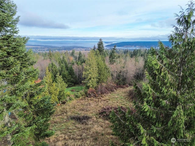 Listing photo 3 for 9999NKA Chelsamish Dr, Sequim WA 98382