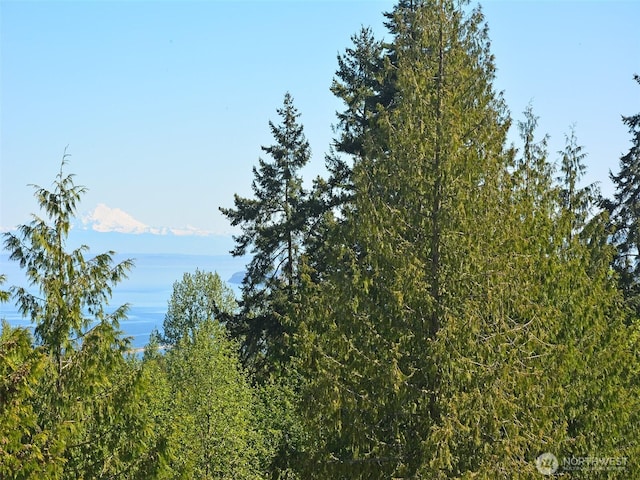 9999NKA Chelsamish Dr, Sequim, WA 98382
