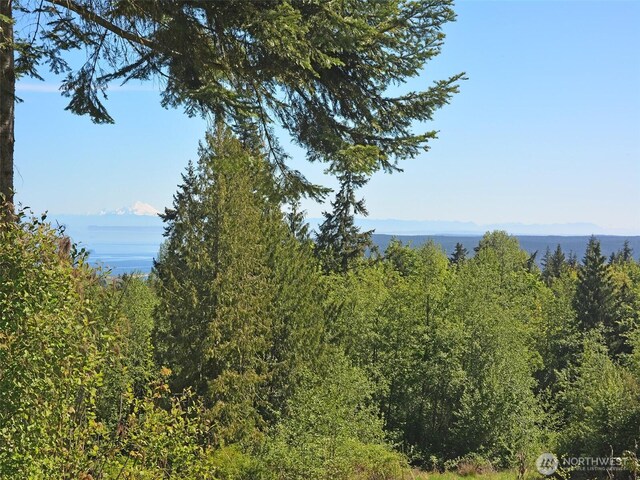 9999NKA Chelsamish Dr, Sequim, WA 98382