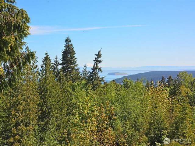 9999NKA Chelsamish Dr, Sequim, WA 98382
