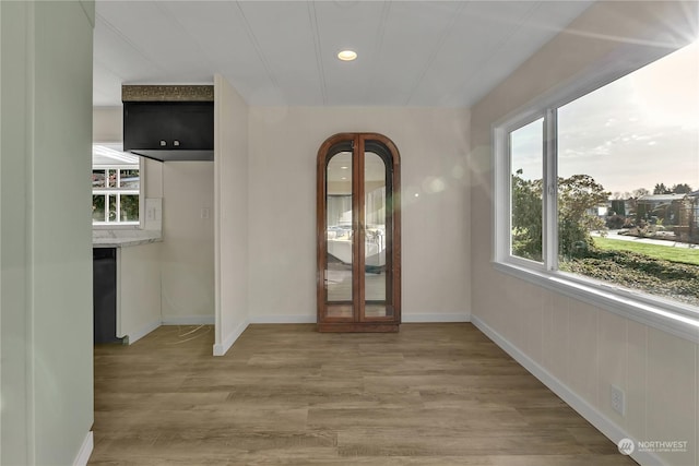 interior space featuring hardwood / wood-style floors